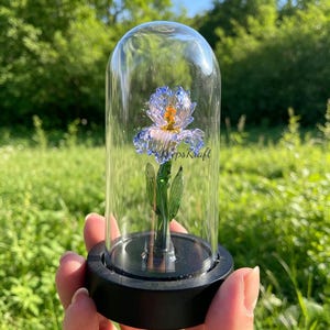 Peut inclure: Une cloche en verre sur une base noire renferme une fleur d'iris en verre faite à la main. La fleur présente des pétales bleus et violets avec un centre orange et des feuilles vertes. Le texte "KeepsKraft" est visible sur le verre. L'arrière-plan est un champ vert flou.