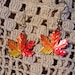 see more listings in the Autumn and Maple Leaves section