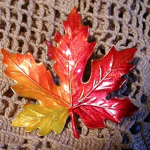 LARGE Hand Painted MAPLE LEAF Pin. image 1