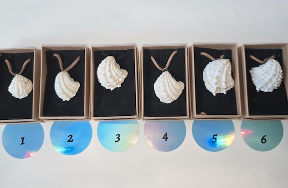 Natural Jewelry Box shell Pendant