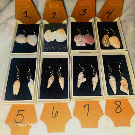 Natural Seashell Earrings