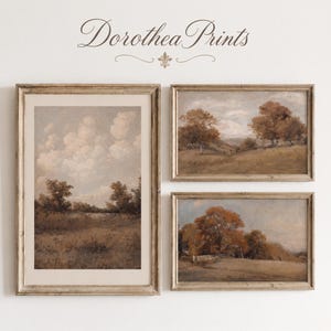 Può includere: Un set di tre stampe paesaggistiche incorniciate con l'etichetta Dorothea Prints. La stampa verticale mostra un campo con alberi sotto un cielo nuvoloso. Le due stampe orizzontali raffigurano scene rurali con alberi dai toni autunnali, campi erbosi e recinzioni.