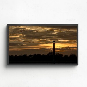 Arte para TV con marco de gaviota al atardecer / Fotografía de Jersey Shore (descarga digital) / Arte mural de silueta costera / Descarga instantánea en Samsung Art Mode