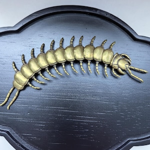 May include: A brass-coloured metal centipede sculpture with numerous segmented body parts and multiple legs, mounted horizontally on a dark, oval-shaped wooden plaque with a smooth, polished finish and a decorative scalloped edge border.