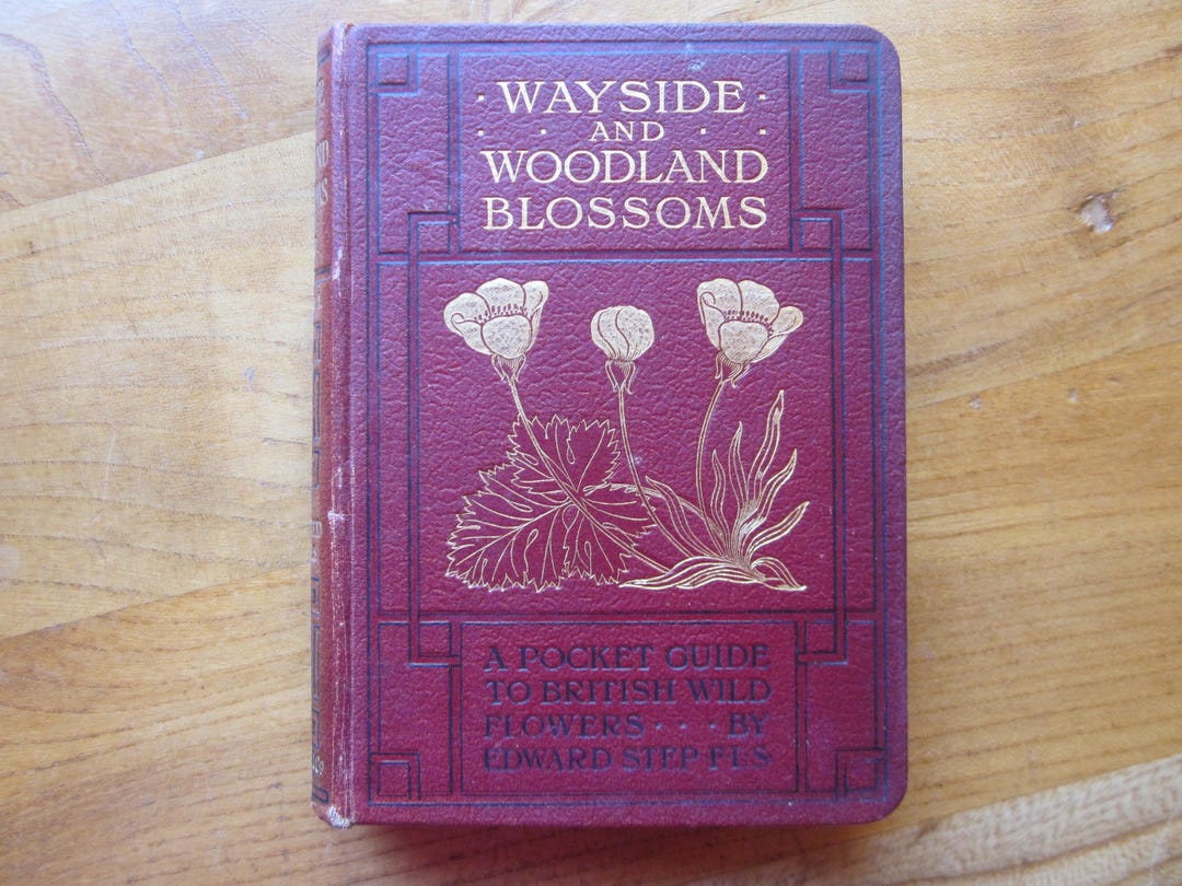 Wayside and Woodland Blossoms by Edward Step F.L.S. - Etsy