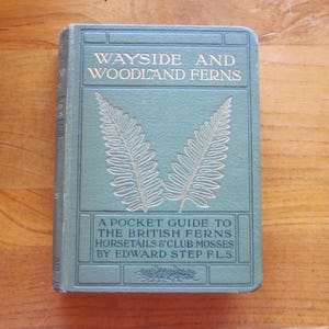 Puede incluir: Un juego de tres tazas de cerámica con un acabado moteado y mate. Las tazas son de color crema, gris claro y gris oscuro. Cada taza tiene un diseño simple y minimalista.