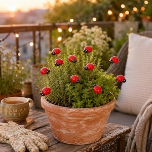 Pode incluir: Um vaso de terracota contendo uma planta verde adornada com vários espetos de jardim em forma de joaninhas vermelhas e pretas. As joaninhas são pequenas, redondas e possuem pontos pretos nas asas vermelhas, fixadas em hastes de arame fino.