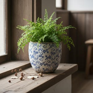 May include: A fern with vibrant green leaves in a blue and white patterned ceramic pot. The pot rests on a wooden windowsill, with dried seed pods and leaves. The scene is lit by natural light, creating a tranquil atmosphere.