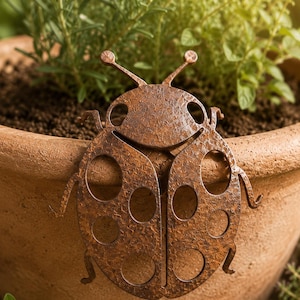 Op de afbeelding: Een roestbruin metalen tuinornament in de vorm van een lieveheersbeestje, met uitgesneden cirkels en antennes. Het lieveheersbeestje is geplaatst op de rand van een terracotta pot gevuld met aarde en groen. De afbeelding is goed belicht en toont de textuur van het metaal.