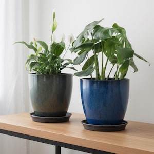 Vaso in ceramica per piante da interno / Vaso moderno lucido decorativo / Elegante contenitore alto per esterni, ideale come regalo