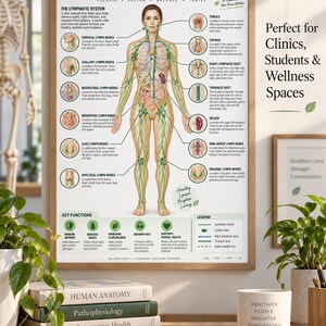 May include: A framed educational poster titled Complete Lymphatic System Chart featuring a central anatomical illustration of the human body with green vessels and nodes, accompanied by detailed callout labels, a key functions section, and a legend.
