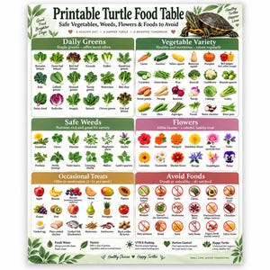 May include: A printable turtle food table chart titled Printable Turtle Food Table Safe Vegetables, Weeds, Flowers & Foods to Avoid. It features categorised illustrations of greens, vegetables, weeds, flowers, treats, and foods to avoid for turtles.
