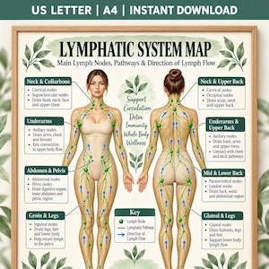 Peut inclure: Une affiche éducative numérique intitulée LYMPHATIC SYSTEM MAP présentant des illustrations anatomiques de face et de dos d'un corps humain. Le graphique affiche des ganglions lymphatiques verts, des voies et des flèches de flux bleues avec des zones de texte détaillant les ganglions.