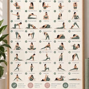 Peut inclure: Une affiche encadrée intitulée Ultimate Full Body Stretching Guide présentant 40 illustrations numérotées d'une personne en tenue de sport vert sauge effectuant divers étirements, avec du texte détaillant la mobilité et la souplesse.