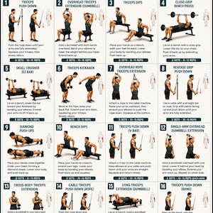 Peut inclure: Une affiche pédagogique intitulée TRICEPS EXERCISES présentant 16 illustrations numérotées d'une personne effectuant divers exercices pour les bras. Chaque section inclut le nom de l'exercice, des instructions et les séries recommandées.