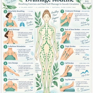 May include: An educational poster titled Lymphatic Drainage Routine featuring a central human figure with green lymphatic pathways. It includes twelve numbered steps with illustrations and text instructions for breathing exercises and self-massage techniques.