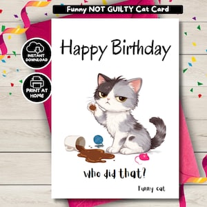 May include: A birthday card featuring a cartoon cat with grey and white fur, looking guilty next to a spilled coffee cup. The card says "Happy Birthday" and "who did that?" with "Funny cat" at the bottom.