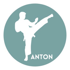 May include: A circular graphic featuring a muted teal background with a white silhouette of a person performing a high side kick while wearing a martial arts uniform. The name ANTON is printed in white capital letters at the bottom of the circle.