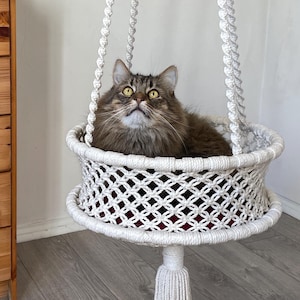 Op de afbeelding: Een wit macramé kattenbed met een pluizige bruine kat erin. Het hangende bed heeft een geweven ontwerp en een rode binnenkant. Een witte kwast hangt aan de onderkant. Een houten dressoir en een potplant staan op de achtergrond.