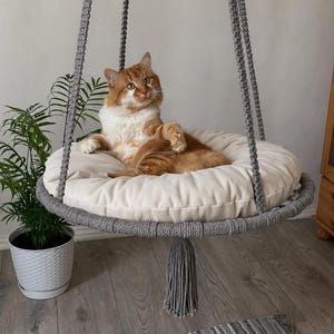 May include: A ginger and white cat lounges in a gray macrame cat bed. The round bed has a cream-colored cushion and hangs from a ceiling. A gray rug and potted plant are in the foreground.