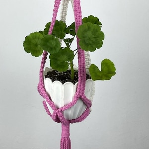 May include: A macrame plant hanger featuring alternating pink and off-white knotted cord patterns. The hanger is suspended from a wooden ring and holds a white scalloped ceramic pot containing a small green plant with rounded leaves.