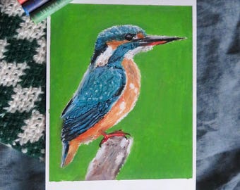 Kingfisher drawing | oil pastel | original