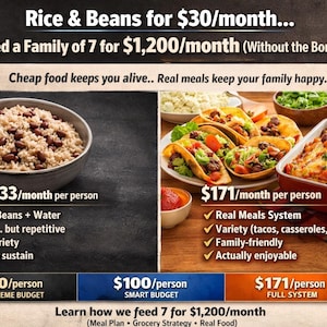 May include: An advertisement comparing food options. It features a bowl of rice and beans, tacos, and a casserole. Text includes "Rice & Beans for $30/month" and "Feed a Family of 7 for $1,200/month". The image highlights different meal plans.