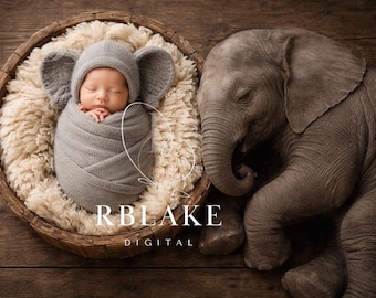 Sfondo digitale con elefantino neonato, cucciolo di animale, sfondo composito safari, cestino di supporto, sovrapposizione di cestino, neutro, servizio fotografico