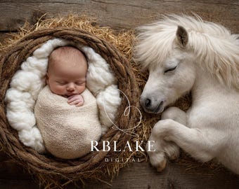 Sfondo digitale con pony neonato, composizione di puledro, animale da fattoria rustico, cesto di lana, sfondo per fotografia di neonati, primavera, neutro