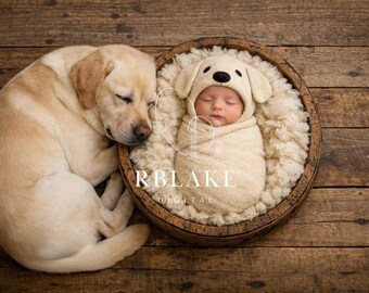Sfondo digitale per neonati con cestino per cani, sfondo composito per cuccioli di Labrador neonati, sfondo rustico in legno per fotografia di neonati, animale domestico, animale