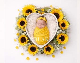 Sfondo digitale per neonati con girasoli, cestino a forma di cuore per bambina, sfondo floreale giallo per neonati, sfondo fotografico rustico estivo.