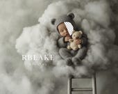 Newborn Digital Backdrop Cloud ladder Bear Face Insert, Grey Teddy Bear, Baby Composite Background, Photography Prop, Neutral Dream Scene
