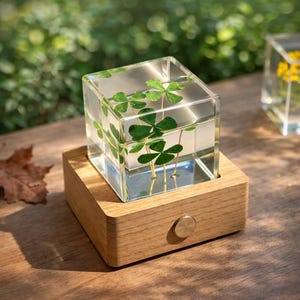 Four Leaf Clover Resin Cube, Lucky Gift with LED Base, Personalized Engraved Wood Light Stand, Good Luck Decor Gift for Her