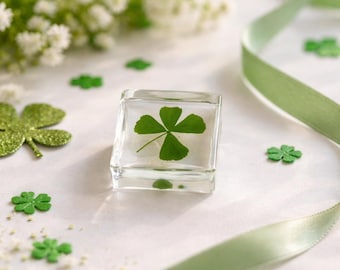 Cube en résine trèfle à quatre feuilles, cadeau porte-bonheur, presse-papiers trèfle véritable, décoration de bureau minimaliste, cadeau porte-bonheur pour ami, petit souvenir