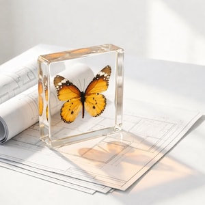 May include: A clear resin block encases a Monarch butterfly with orange and black wings. The butterfly is centered within the rectangular block, which casts a shadow on the architectural blueprints beneath it. The wingspan is approximately 3 inches.