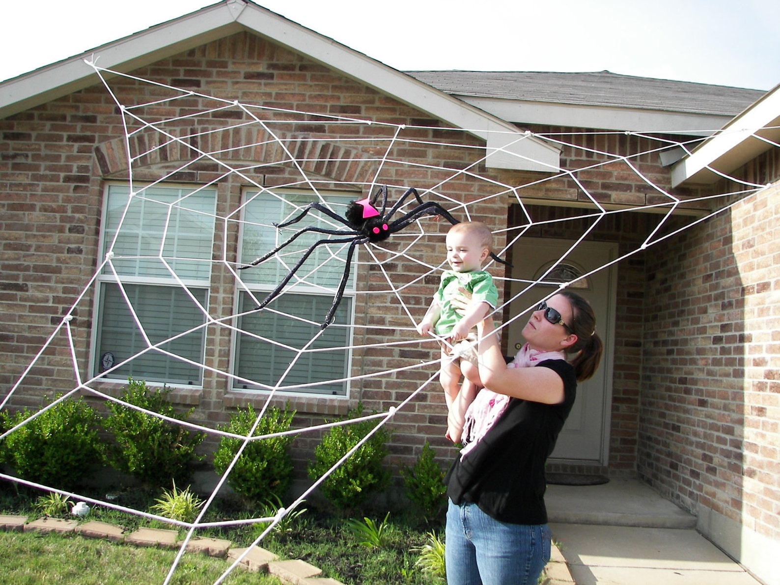 steps of synthetic spider web production steps of synthetic spider web production