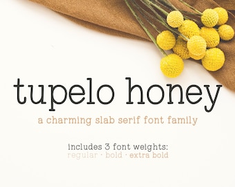 Tupelo Honey Hand-Lettered Slab Serif Font Family, Modern Font, Southern Font, Cute Font, Lettering Font, Farmhouse Font, Typeriter Font