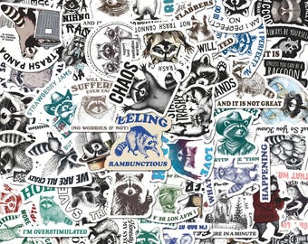 50pcs Raccoon Sticker Pack | Funny Trash Panda Vinyl Decals | Sarcastic Meme Stickers for Laptop, Water Bottle | Unhinged Gen Z Humor Gift