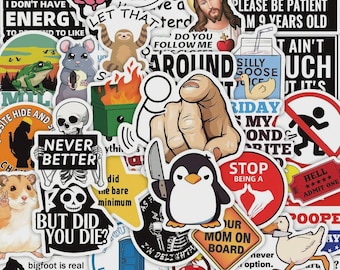 Funny Meme Sticker Pack | Sarcastic Adult Humor Decals (50pcs)