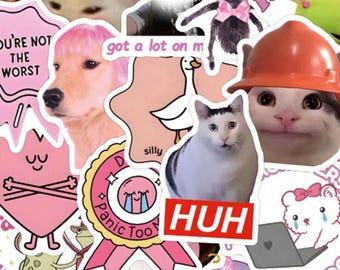 50pcs Gen Z Meme Sticker Pack | Unhinged & Cursed Funny Cat Decals | Pink Aesthetic Ironic Stickers for Laptop, Water Bottle, Phone Case