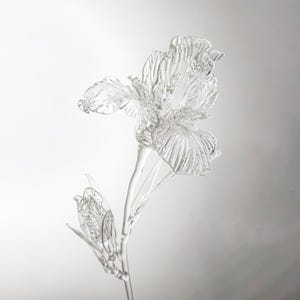 May include: A clear glass iris flower sculpture with detailed petal textures. The sculpture features a large, open bloom and a smaller bud on a slender stem, showcasing a delicate and elegant design.