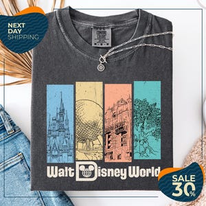 a gray t-shirt with a graphic design of Disney World landmarks, including a castle, roller coaster, and other iconic structures. The t-shirt is displayed on a white background, and there are jeans and a necklace visible in the foreground.
