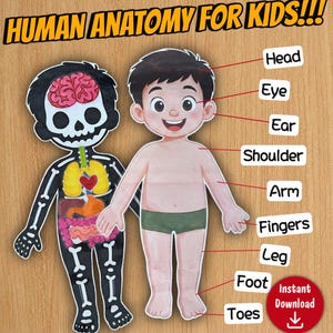 Könnte beinhalten: Lernposter mit dem Titel HUMAN ANATOMY FOR KIDS!!! zeigt zwei Figuren: ein Kind in grüner Hose und ein schwarzes Skelett mit bunten Organen. Beschriftungen zeigen auf Körperteile wie Kopf, Auge, Ohr, Schulter, Arm, Finger, Bein, Fuß und Zehen.