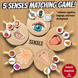 May include: A 5 Senses Matching Game featuring cardboard circles with illustrations of an eye, ear, hand, nose, and mouth. Each circle has wooden clothespins attached to smaller circular tokens depicting various objects like a rocket, clock, apple, and basketball.