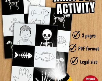 XRAY lustige Aktivität | Körper Struktur Spiel | Lernübung für Kleinkinder (PDF Download)