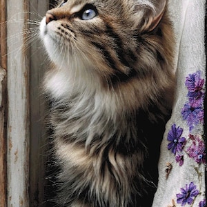 May include: A fluffy, brown and gray cat with striking blue eyes looks upward. The cat is positioned near a window, with a white curtain adorned with purple floral embroidery. The wooden window frame is weathered.