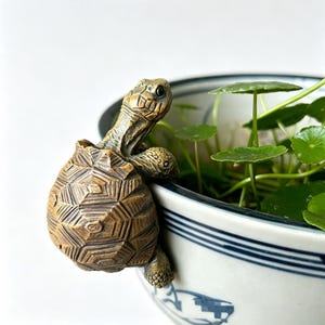 Könnte beinhalten: Eine detaillierte, braune Schildkrötenfigur aus Kunstharz, die sich am Rand eines weiß-blauen Keramiktopfes festhält. Der Topf enthält grüne Pflanzen mit runden Blättern. Die Schildkröte hat einen strukturierten Panzer und detaillierte Merkmale.