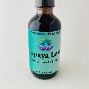 Papaya Leaf Tincture  -  Alcohol Free Carica papaya Extract - Handmade Herbal Remedy by Ecstatic Earth