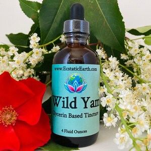 Wild Yam Root Tincture - Bulk Size 8 Oz Bottle - Alcohol Free Dioscorea villosa Extract - Handmade Herbal Remedy by Ecstatic Earth