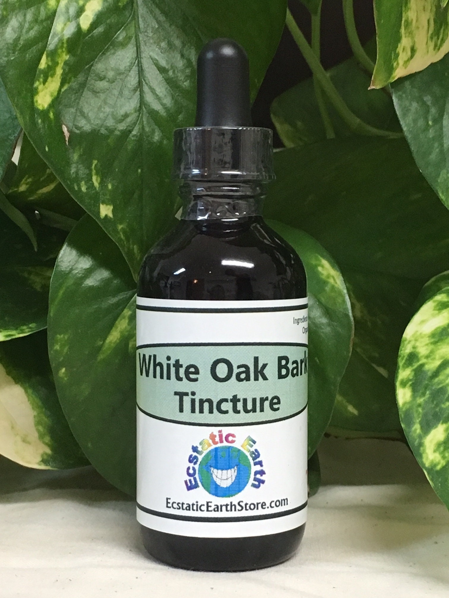 Organic White Oak Bark Tincture / Extract Quercus alba Etsy